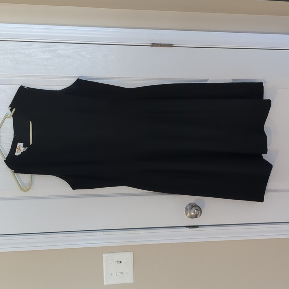 NWT Talbot's pleated dress